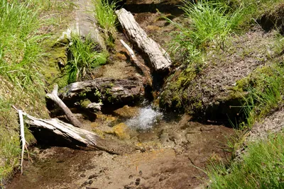 DSC_3183 (Large).JPG